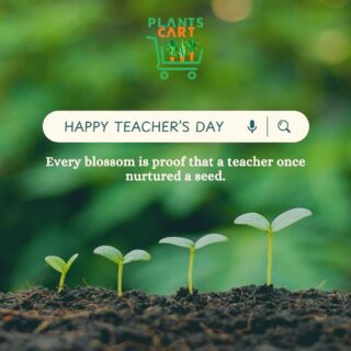 Happy Teacher’s Day

From a tiny #seed to a healthy #sapling, just like a #child to a bright #future — #teachers nurture with care, patience, and love. They are the true gardeners of our society.