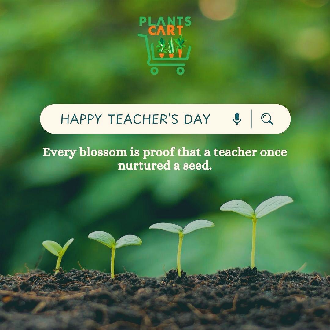 Happy Teacher’s Day

From a tiny #seed to a healthy #sapling, just like a #child to a bright #future — #teachers nurture with care, patience, and love. They are the true gardeners of our society.