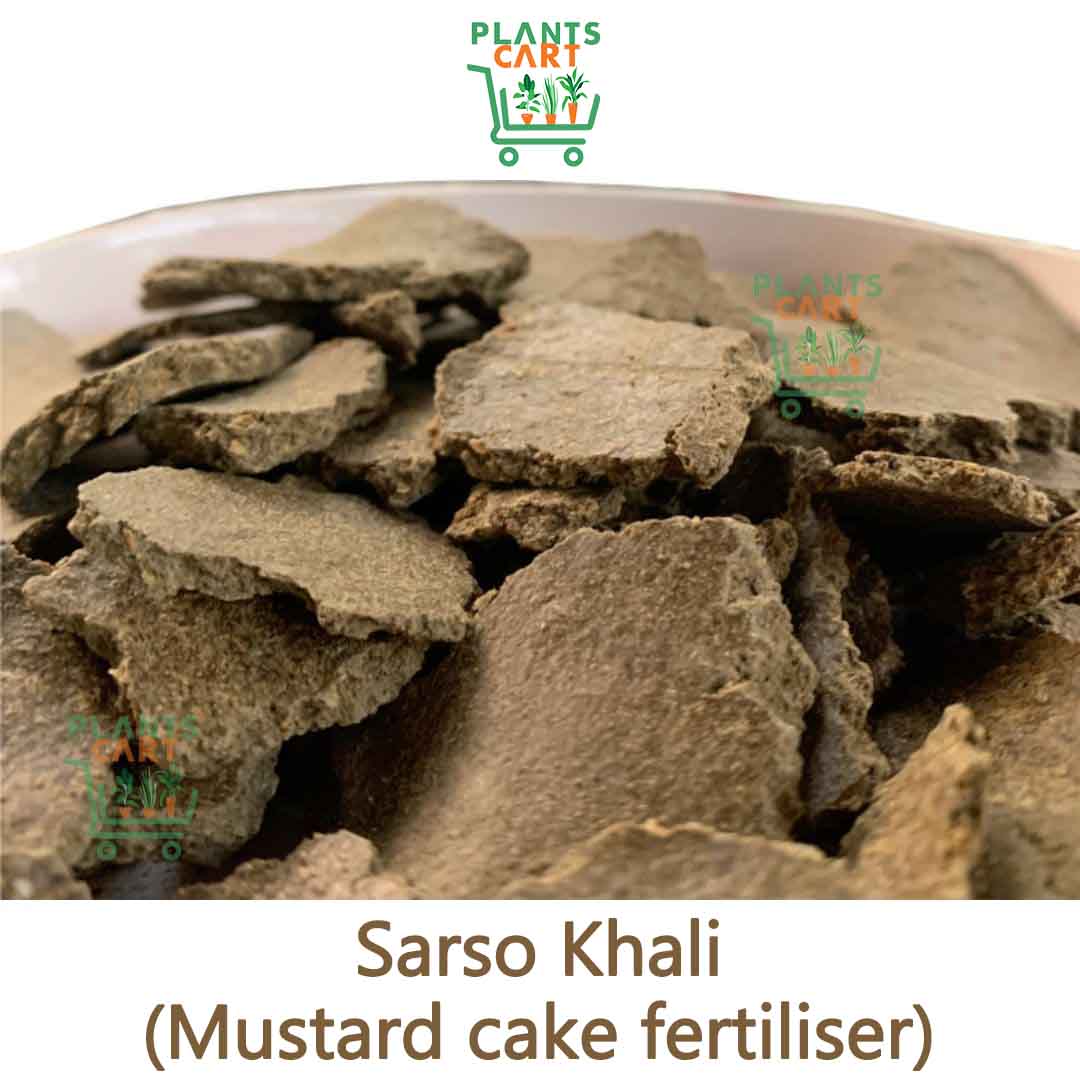 OGD26 Mustard Oil Cake(Sarsokhalli) 1kg | Innovative Organic Agri India |  Buy Organic Fertilizers Online India | Organic Fertilizer Online