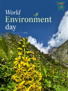 This Environment Day, Plants Cart wants to plant trees at spaces that truly need a touch of nature.

From plants to potting - we’ll handle it all.
All you need to do is nurture them with regular care and watering 

Whether it’s:
• Your society
• A green belt
• Or a nearby park

Step 1: Comment below with your space

Step 2: DM us an image of your space

Step 3: Tell us how many tree saplings can be planted there (Up to 20 min plants)

Let’s grow greener, together.

#WorldEnvironmentDay #Plantscart #PlantsOfInstagram