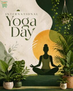 Inhale calm. Exhale gratitude.

This International Yoga Day, celebrate the power of nature and mindfulness. Whether it’s a yoga mat or a Monstera, both remind us to slow down, breathe deeply, and grow.

Happy International Yoga Day from Plantscart. 

#InternationalYogaDay #Plantscart #YogaAndNature #PlantParent #GreenLiving