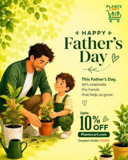 Just like plants need care, patience, and nurturing to thrive, so do we.

This Father’s Day, we’re celebrating the fathers, father figures, and mentors who have helped us grow into who we are today. 

To make the occasion a little greener, enjoy 10% OFF on your Plantscart purchase.

Coupon Code: DAD10
Valid on a minimum purchase of ₹500
Offer valid till Monday, 22nd June 2026

Tag your dad or someone who has helped you grow. 

#FathersDay #Plantscart #GrowTogether #PlantLove #FathersDay2026 #PlantParents #IndoorPlants #GardeningLife #DelhiNCR #PlantsOfInstagram #GreenLiving #PlantGifting